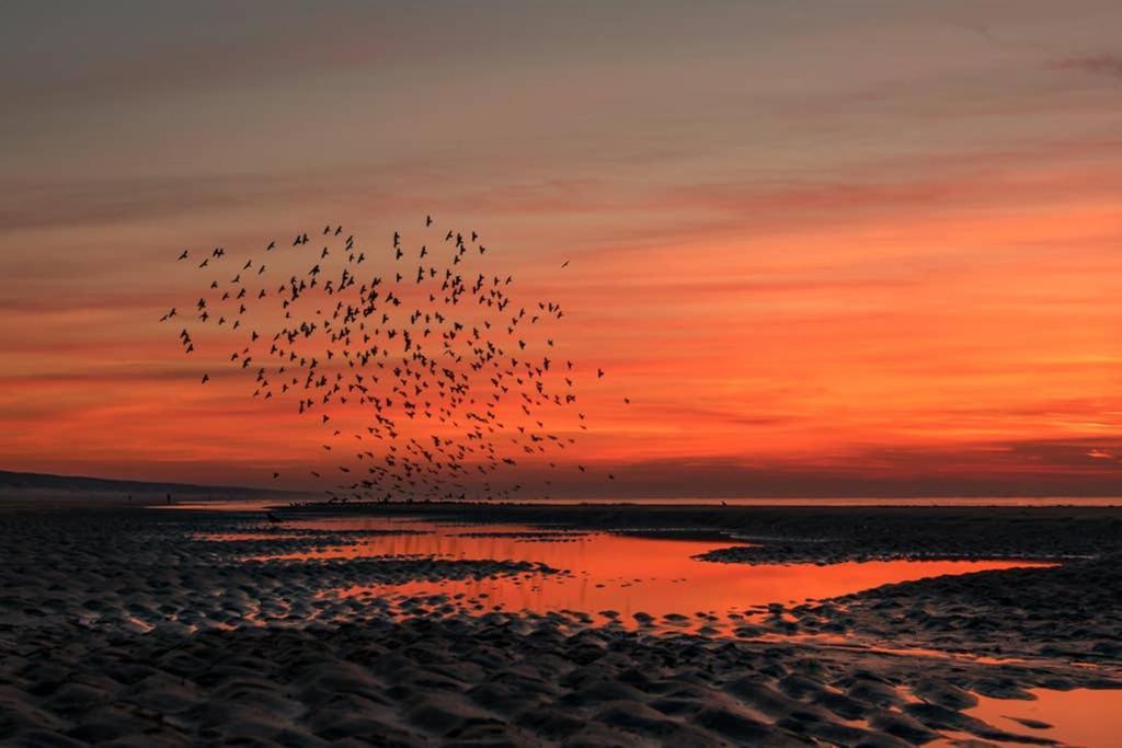 Hoekje Up Katwijk aan Zee Extérieur photo